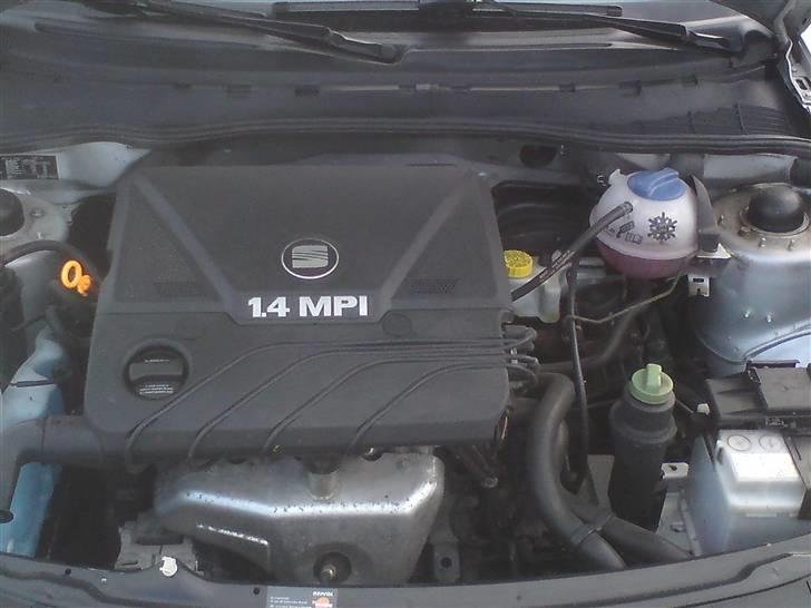 Seat Ibiza, Signo billede 4
