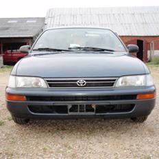 Toyota Corolla CHAMP