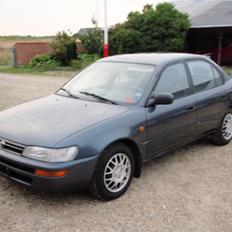 Toyota Corolla CHAMP