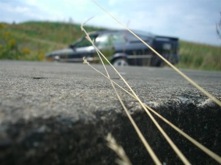 Audi coupe gt billede 19