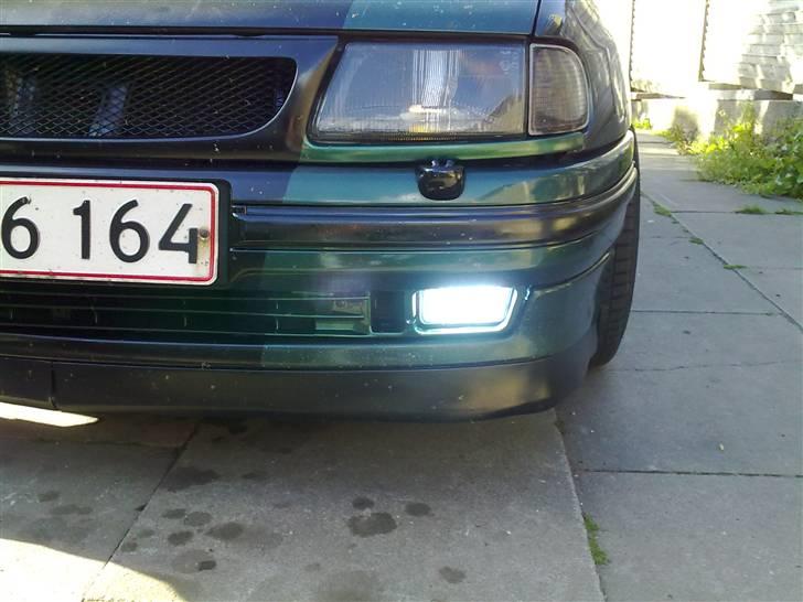 Seat Ibiza (Byttet væk) billede 6