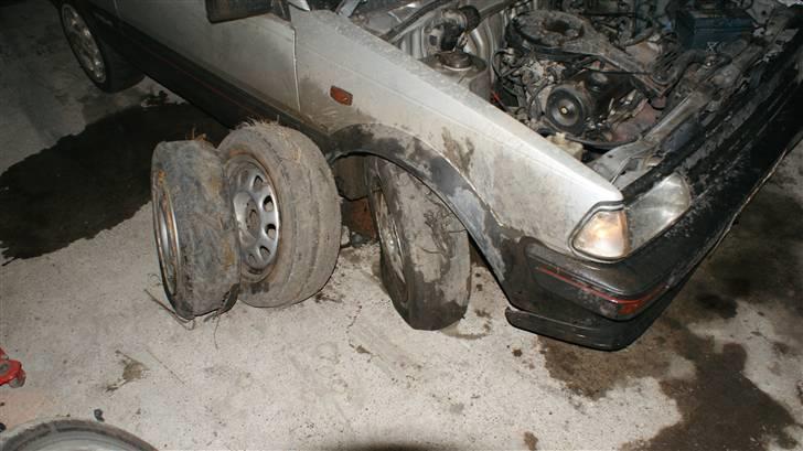 Toyota Starlet S ( Svinet )    - Dagen´s fangst billede 11