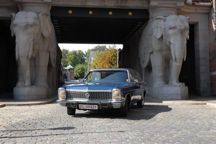 Opel Diplomat 5,4 V8 - Stærk som 2 elefanter billede 2