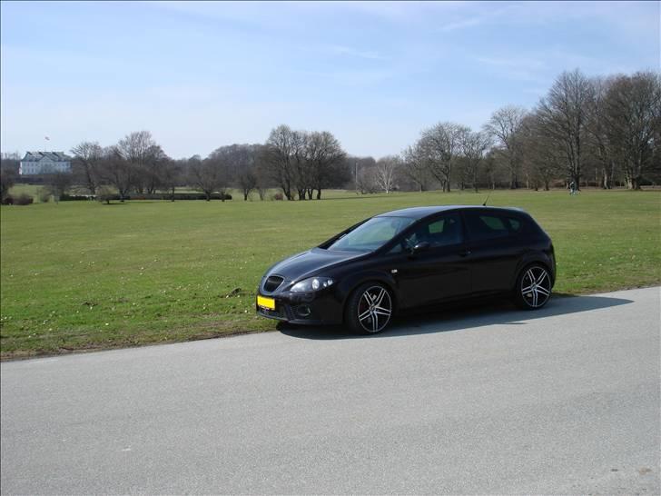 Seat Leon Cupra  billede 1