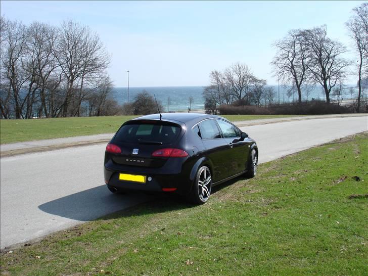 Seat Leon Cupra  billede 3