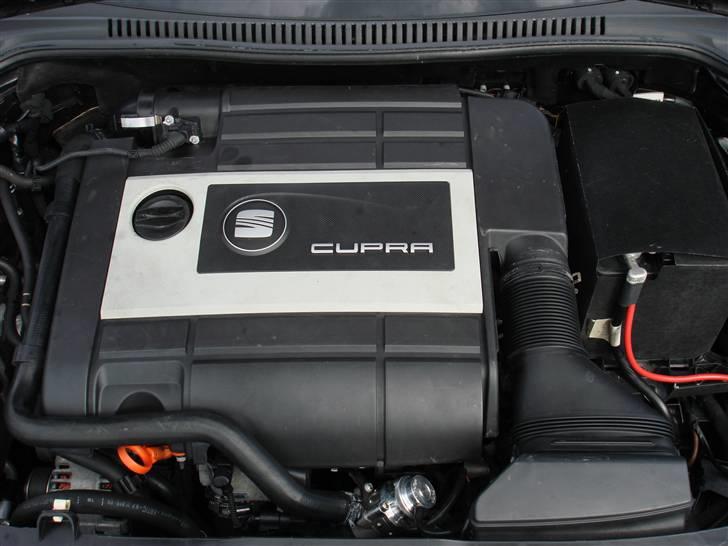 Seat Leon Cupra  billede 9