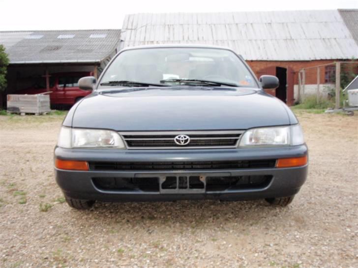 Toyota Corolla CHAMP billede 1