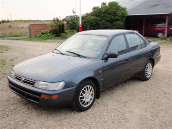 Toyota Corolla CHAMP billede 2