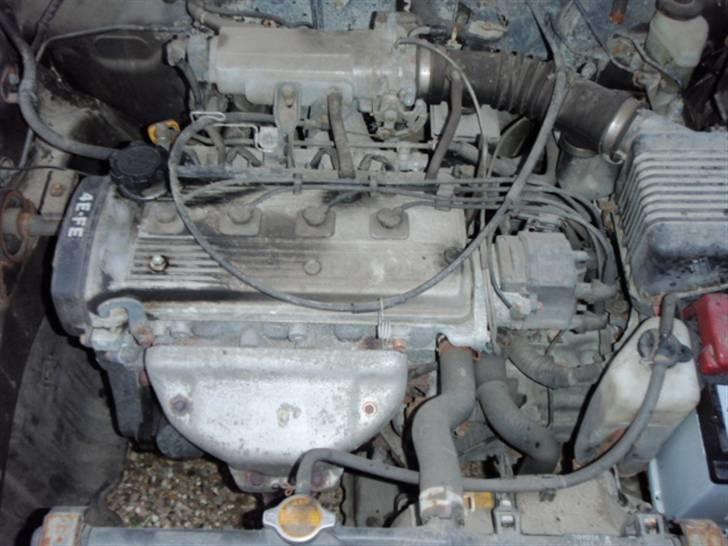 Toyota Corolla CHAMP billede 8