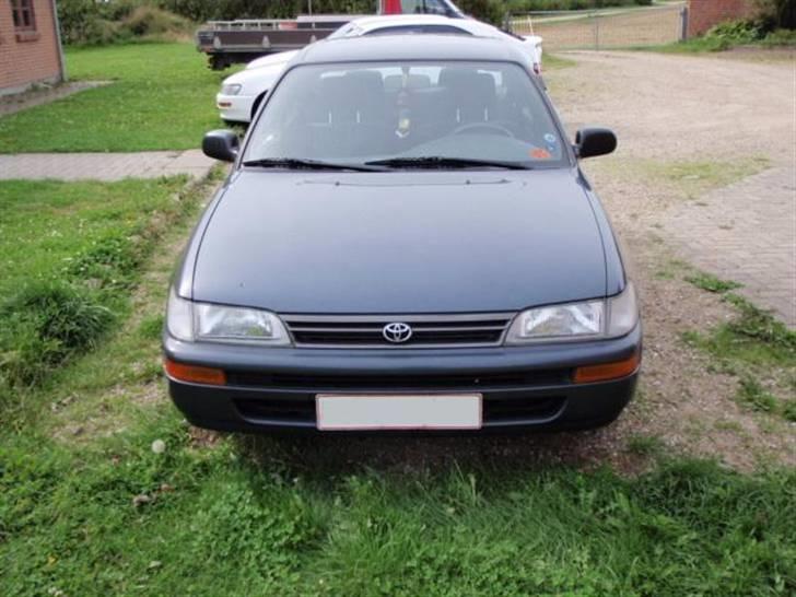 Toyota Corolla CHAMP billede 11