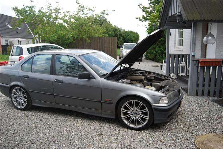 BMW E36 SOLGT billede 2