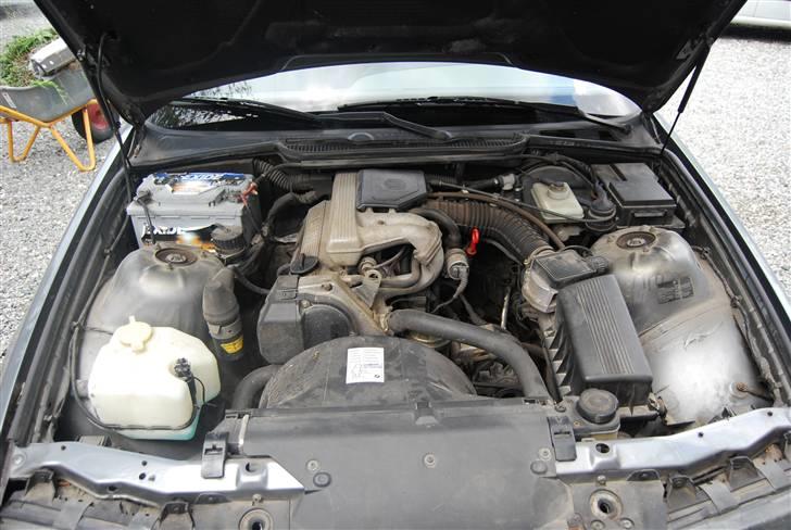 BMW E36 SOLGT billede 4