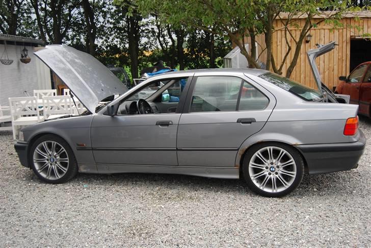BMW E36 SOLGT billede 8