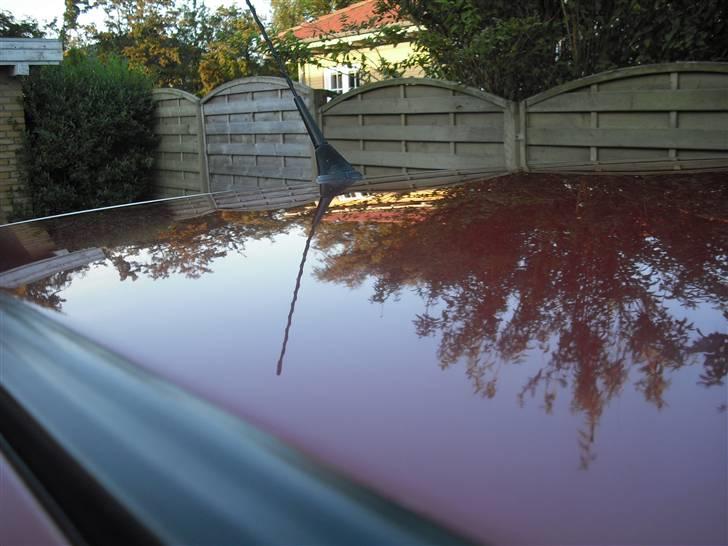 VW Polo 6n billede 7