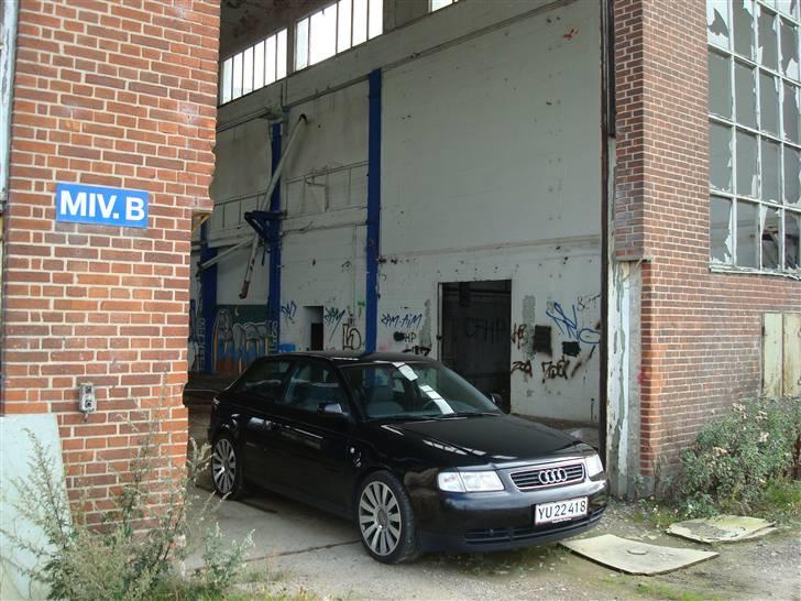Audi A3 billede 7
