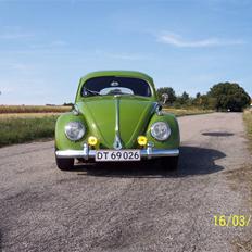 VW Bobbel oval