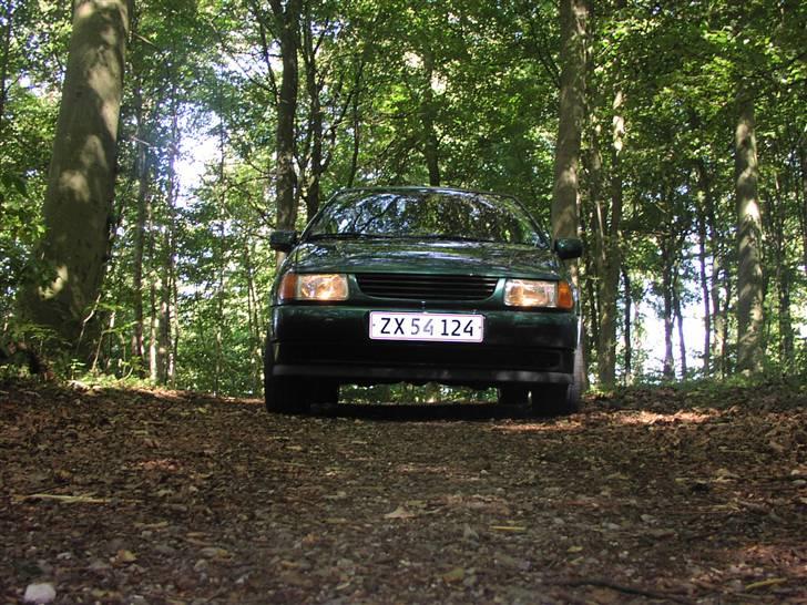 VW Polo 6N billede 5