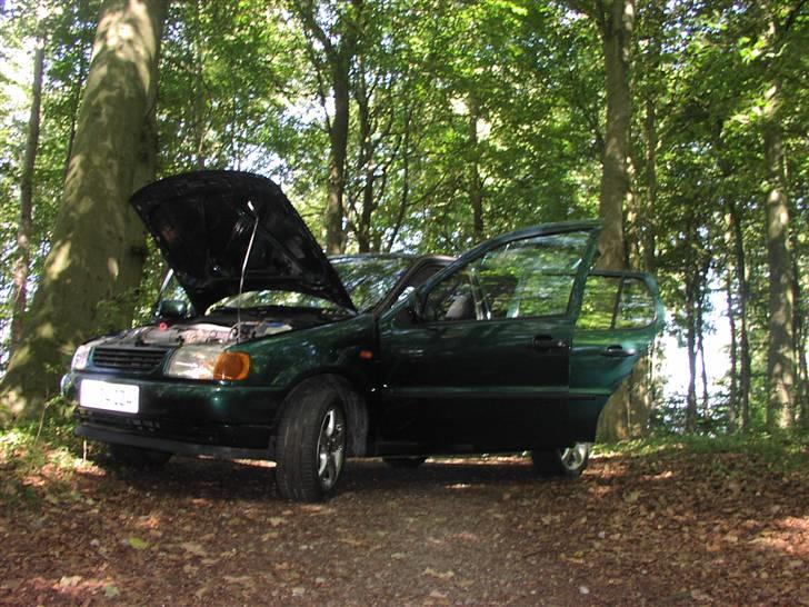 VW Polo 6N billede 10