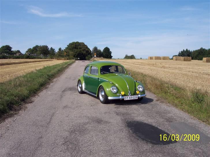 VW Bobbel oval billede 1