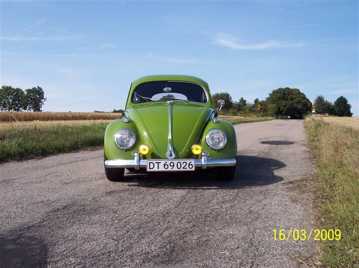 VW Bobbel oval billede 2