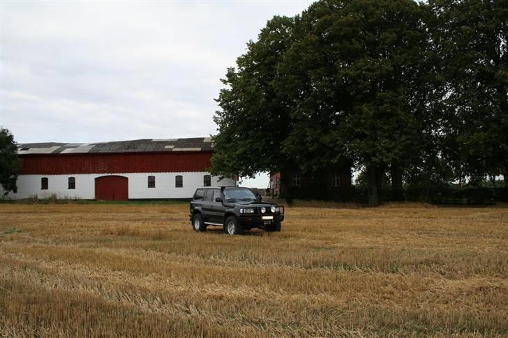 Toyota landcruiser hdj 80 billede 12