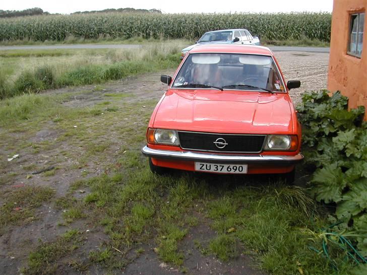 Opel ascona1.6s b billede 2