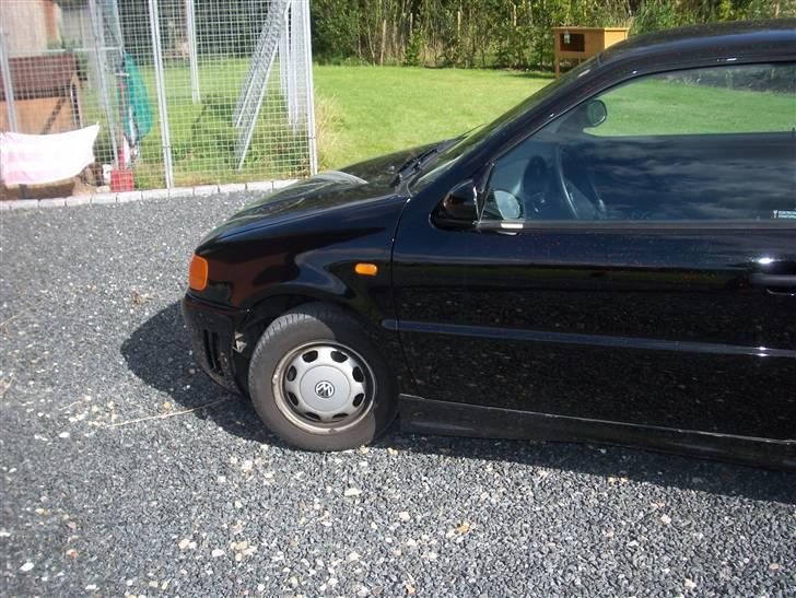 VW polo 6n billede 8