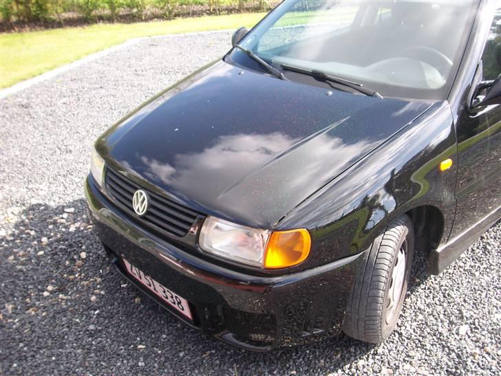 VW polo 6n billede 10