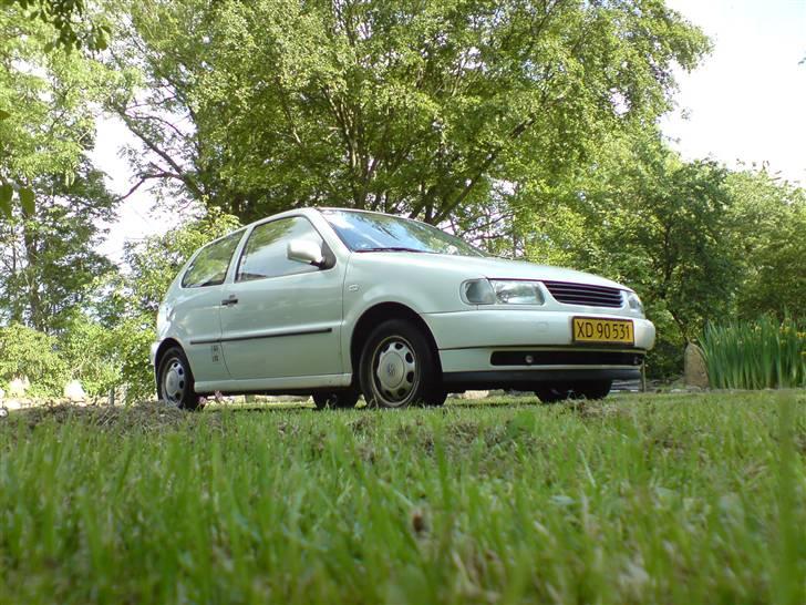 VW Polo 6n billede 5