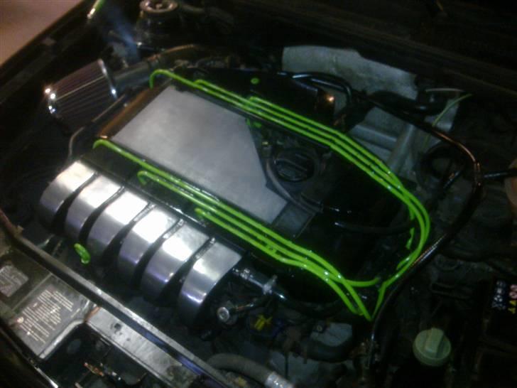 VW Golf 3 VR6 (SOLGT) - Under the hood! Ikke færdig endnu. billede 6