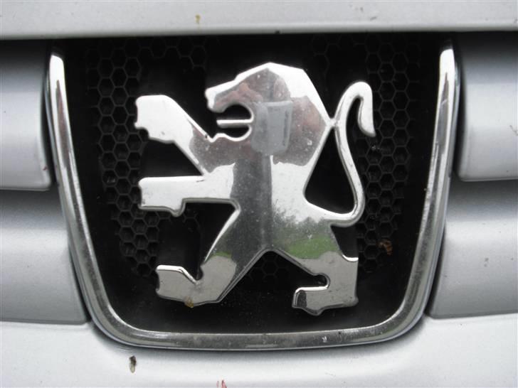 Peugeot 406 sv turbo billede 8