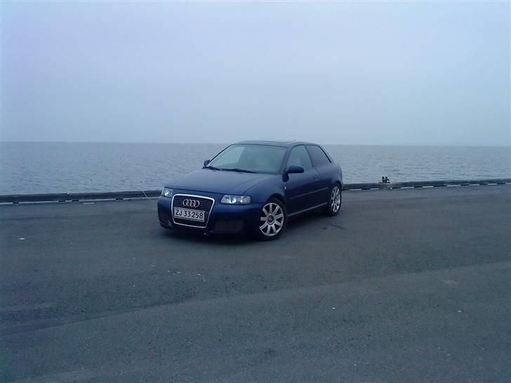 Audi A3 - Solgt - tur på havnen billede 3