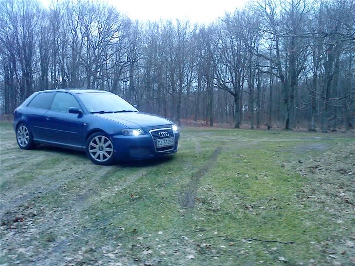Audi A3 - Solgt - skovtur billede 6