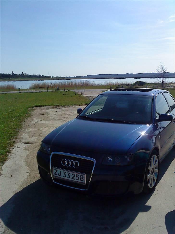 Audi A3 - Solgt billede 8