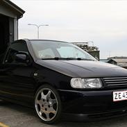 VW Polo 6N