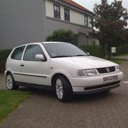 VW Polo 6n