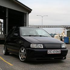 VW Polo 6N