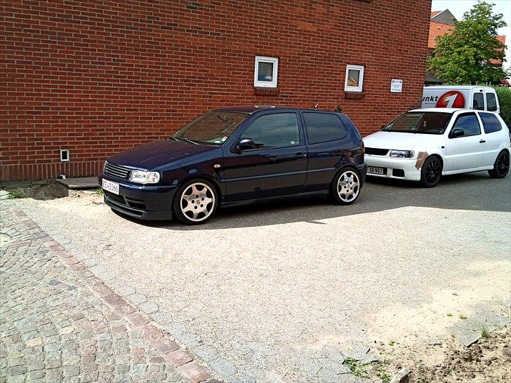 VW Polo 6N billede 8
