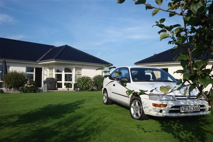 Toyota Corolla | SOLGT 09 ' billede 2