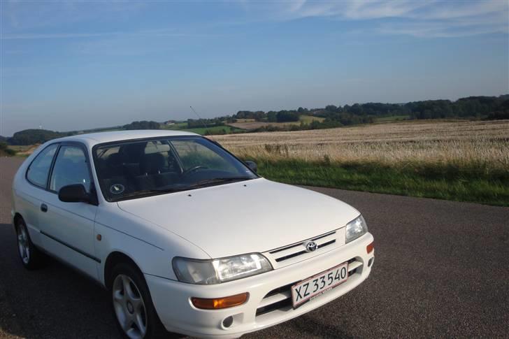 Toyota Corolla | SOLGT 09 ' billede 6