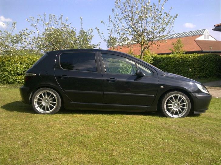 Peugeot 307 Griffe billede 1