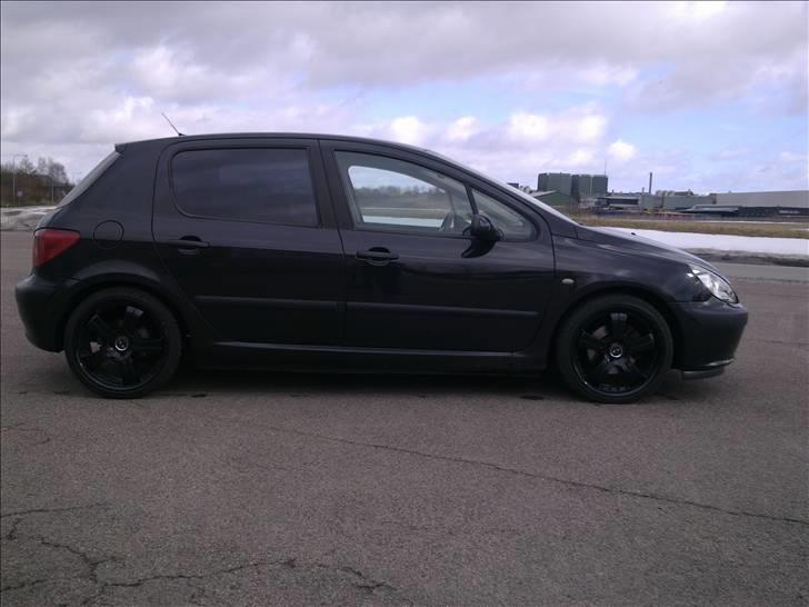 Peugeot 307 Griffe billede 2