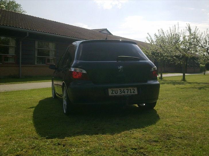 Peugeot 307 Griffe billede 4