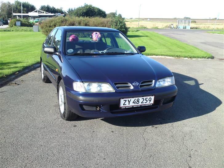 Nissan Primera  Sussi Død:/ billede 1
