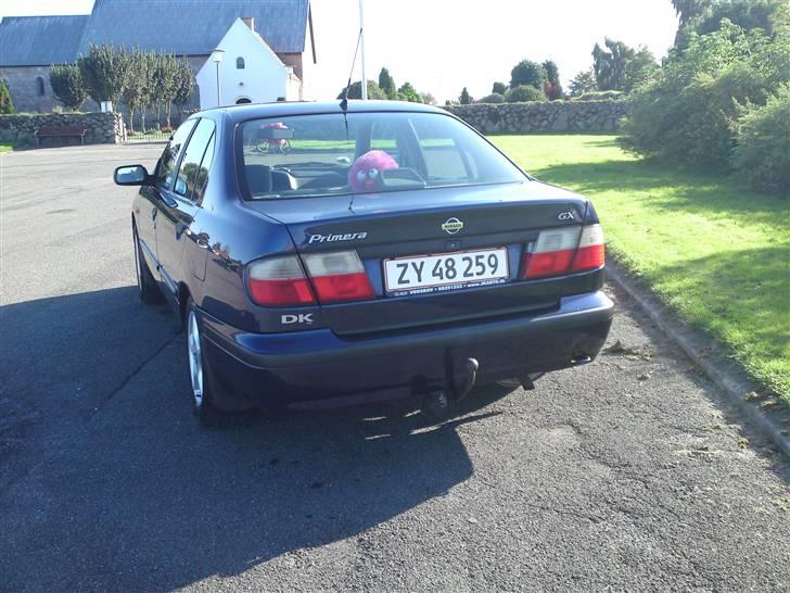 Nissan Primera  Sussi Død:/ billede 2