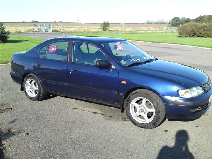Nissan Primera  Sussi Død:/ billede 4