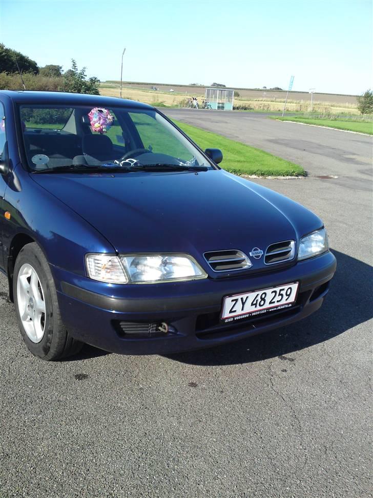 Nissan Primera  Sussi Død:/ billede 7