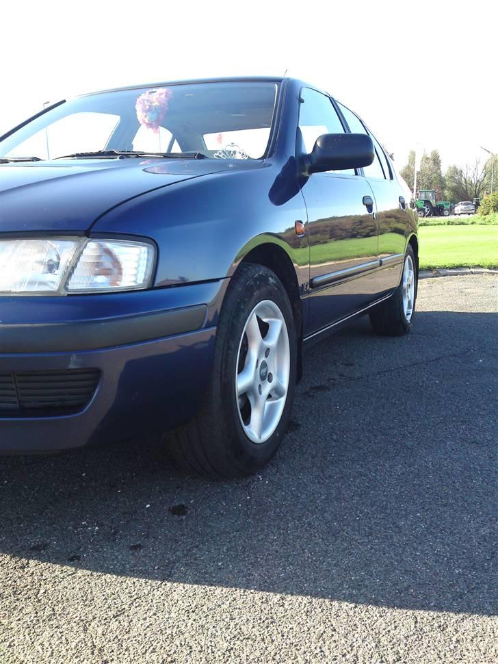 Nissan Primera  Sussi Død:/ billede 8