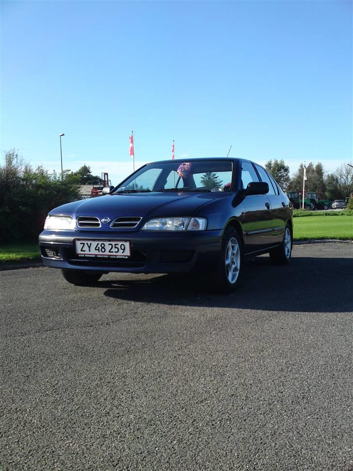 Nissan Primera  Sussi Død:/ billede 9
