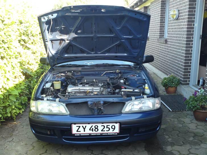 Nissan Primera  Sussi Død:/ billede 11